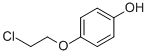 CAS 登录号：100238-55-9， 4-(2-氯乙氧基)-苯酚