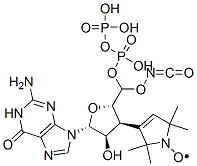 CAS#: 105802-04-8， 3'-(2,2,5,5-Tetramethyl-3-Pyrroline-1-Oxyl-3-Carbonyl)Amino-3'-Deoxyguanosine 5'-Diphosphate