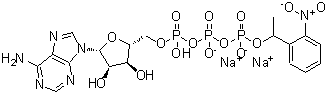 structure of CAS# 171800-68-3, Disodium 5'-O-(hydroxy{[({[1-(2-nitrophenyl)ethoxy]phosphinato}oxy)phosphinato]oxy}phosphoryl)adenosine;Adenosine<wbr> 5′-triph<wbr>osphate γ<wbr>-(1-[2-ni<wbr>trophenyl<wbr>]ethyl) e<wbr>ster sodi<wbr>um salt;Adenosine<wbr> 5'-triph<wbr>osphate P<wbr>3-[1-(2-n<wbr>itropheny<wbr>l)ethyl e<wbr>ster] dis<wbr>odium salt;Caged ATP