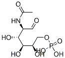 CAS 登录号：1746-32-3， [(2R,3S,4R,5R)-5-乙酰氨基-2,3,4-三羟基-6-氧代-己氧基]膦酸
