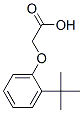 structure of CAS# 19271-90-0, 2-[2-(1,1-Dimethylethyl)Phenoxy]-Acetic Acid;2-(2-Tert-Butylphenoxy)Ethanoate;Zinc04206272