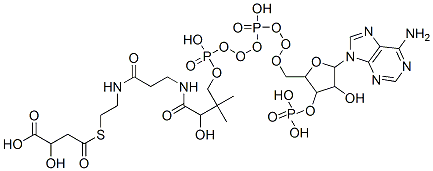CAS#: 2043-93-8， Coenzyme A S-(3-carboxy-3-hydroxypropanoate)