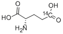 CAS#: 24016-48-6， L-Glutamic Acid [5-14C]