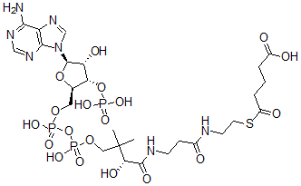 CAS#: 3131-84-8， 5-[2-[3-[[(2R)-4-[[[(2R,3S,4R,5R)-5-(6-Aminopurin-9-Yl)-4-Hydroxy-3-Phosphonooxyoxolan-2-Yl]Methoxy-Hydroxyphosphoryl]Oxy-Hydroxyphosphoryl]Oxy-2-Hydroxy-3,3-Dimethylbutanoyl]Amino]Propanoylamino]Ethylsulfanyl]-5-Oxopentanoic Acid