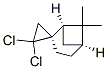 CAS#: 33889-85-9， 2',2'-Dichloro-7,7-Dimethylspiro[Bicyclo[3.1.1]Heptane-2,1'-Cyclopropane]
