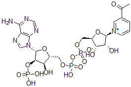 CAS 登录号：341-67-3， [(2R,3S,4R,5R)-5-(3-乙酰基吡啶-1-鎓-1-基)-3,4-二羟基四氢呋喃-2-基]甲基[[(2R,3R,4R,5R)-5-(6-氨基嘌呤-9-基)-3-羟基-4-膦酰氧基四氢呋喃-2-基]甲氧基-羟基磷酰]磷酸酯