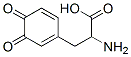 CAS 登录号：4430-97-1， 2-氨基-3-(3,4-二氧代-1-环己-1,5-二烯基)-丙酸