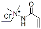 CAS#: 48052-66-0， Trimethyl[(1-Oxoallyl)Amino]Methylammonium Chloride