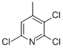 CAS 登录号：52137-65-2， 2,3,6-三氯-4-甲基吡啶