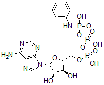 CAS#: 52830-41-8， Adenosine triphosphate gamma-anilide