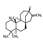 CAS 登录号：562-28-7， 贝壳杉-16-烯