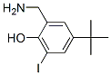 CAS#: 58456-91-0， 2-Aminomethyl-4-Tert-Butyl-6-Iodophenol