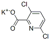 CAS#: 58509-83-4， Potassium 3,6-Dichloropyridine-2-Carboxylate