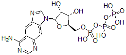 CAS#: 61925-58-4， Benzo-adenosine triphosphate