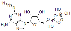CAS 登录号：64020-53-7， 2-叠氮基腺苷 3',5'-二磷酸酯
