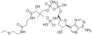 CAS#: 70019-68-0， Ethyl-Coenzyme A