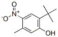 CAS#: 72373-70-7， 2-Tert-Butyl-5-Methyl-4-Nitrophenol
