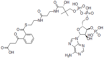CAS 登录号：72471-59-1， 4-[2-[2-[3-[[(2R)-4-[[[(2R,3S,4R,5R)-5-(6-氨基嘌呤-9-基)-4-羟基-3-膦酰氧基四氢呋喃-2-基]甲氧基-羟基磷酰]氧基-羟基磷酰]氧基-2-羟基-3,3-二甲基丁酰基]氨基]丙酰氨基]乙硫基羰基]苯基]-4-氧代丁酸