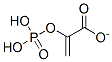 CAS#: 73-89-2， 2-(Phosphonooxy)Acrylate