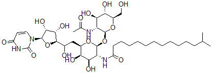 CAS 登录号：76544-50-8， N-[(2S,3R,4R,5R,6R)-2-[(2S,3R,4R,5S,6R)-3-乙酰氨基-4,5-二羟基-6-(羟基甲基)四氢吡喃-2-基]氧基-6-[2-[(2R,3S,4R,5R)-5-(2,4-二氧代嘧啶-1-基)-3,4-二羟基四氢呋喃-2-基]-2-羟基乙基]-4,5-二羟基四氢吡喃-3-基]-13-甲基十四烷酰胺