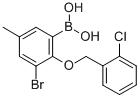 structure of CAS# 849052-17-1, B-[3-Bromo-2-[(2-chlorophenyl)methoxy]-5-methylphenyl]-Boronic acid