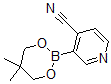 结构式 CAS# 868944-72-3, 3-(5,5-二甲基-1,3,2-二氧硼杂环己烷-2-基)-4-吡啶甲腈