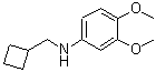 structure of CAS# 887588-17-2, N-(Cyclobutylmethyl)-3,4-dimethoxyaniline;Benzenamine, N-(cyclobutylmethyl)-3,4-dimethoxy-;BENZENAMINE,N-(CYCLOBUTYLMETHYL)-3,4-DIMETHOXY-;CYCLOBUTYLMETHYL-(3,4-DIMETHOXY-PHENYL)-AMINE