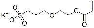 CAS 登录号：93841-08-8， 2-(3-磺酰基丙氧基)乙基丙烯酸钾