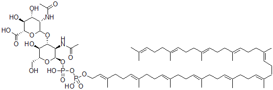 CAS 登录号：94230-52-1， N-乙酰基氨基甘露醇醛酸-N-乙酰基葡萄糖胺-焦磷酰十一异戊烯醇