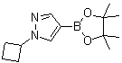 structure of CAS# 1002309-48-9, 1-Cyclobutyl-1H-pyrazole-4-boronic acid pinacol ester;1-Cyclobutyl-4-(4,4,5,5-tetramethyl-1,3,2-dioxaborolan-2-yl)-1H-pyrazole