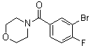 (3-Bromo-4-fluorophenyl)(morpholin-4-yl)methanone molecular structure (CAS 1007207-89-7)