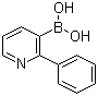 structure of CAS# 1029654-14-5, (2-Phenyl-3-pyridinyl)boronic acid