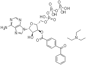 structure of CAS# 112898-15-4, Adenosine 5'-(tetrahydrogen triphosphate) 3'-(4-benzoylbenzoate) compd. with N,N-diethylethanamine