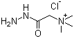 structure of CAS# 123-46-6, Girard's Reagent T;(Carboxymethyl)trimethylammonium chloride hydrazide; 2-Hydrazino-N,N,N-trimethyl-2-oxo-ethanaminium chloride