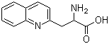 3-(2-Quinolyl)-DL-alanine molecular structure (CAS 123761-12-6)