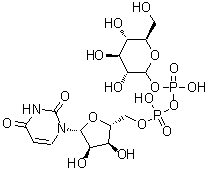 structure of CAS# 133-89-1, Uridine pyrophosphate-glucose;UDPG; Uridine 5'-(trihydrogen pyrophosphate), mono-D-glucosyl ester; Uridine 5'-(alpha-D-glucopyranosyl pyrophosphate); Uridine 5'-diphosphate glucose; Uridine 5'-diphospho-alpha-D-glucose; Uridine 5'-diphosphoglucose; Uridine diphosphate glucose