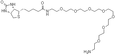 结构式 CAS# 1334172-76-7, (3aS,4S,6aR)-N-(23-氨基-3,6,9,12,15,18,21-七氧杂二十三烷-1-基)六氢-2-氧代-1H-噻吩并[3,4-d]咪唑-4-戊酰胺