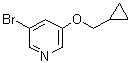 结构式 CAS# 1383133-14-9, 3-溴-5-(环丙基甲氧基)吡啶