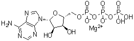 三磷酸腺苷镁盐分子结构 (CAS 1476-84-2)