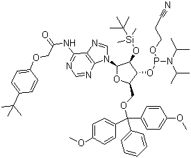 结构式 CAS# 149989-64-0, 5'-O-(4,4-二甲氧基三苯甲基)-2'-O-[(叔丁基)二甲基硅基]-N-[[4-(叔丁基)苯氧基]乙酰基]腺苷-3'-(2-氰基乙基-N,N-二异丙基)亚磷酰胺