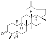 结构式 CAS# 1617-70-5, 羽扇烯酮