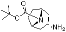 structure of CAS# 207405-68-3, N-Boc-endo-3-aminotropane;(3-endo)-3-Amino-8-azabicyclo[3.2.1]octane-8-carboxylic acid tert-butyl ester
