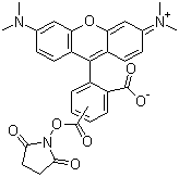 structure of CAS# 246256-50-8, 5(6)-Carboxytetramethylrhodamine succinimidyl ester ;(5(6)-TAMRASE; 9-[2-Carboxy-4(or 5)-[[(2,5-dioxo-1-pyrrolidinyl)oxy]carbonyl]phenyl]-3,6-bis(dimethylamino)-xanthylium inner salt