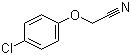 structure of CAS# 3598-13-8, 2-(4-Chlorophenoxy)acetonitrile;4-Chlorophenoxyacetonitrile