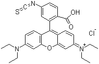 structure of CAS# 36877-69-7, Rhodamine B isothiocyanate;9-[2-Carboxy-5-isothiocyanatophenyl]-3,6-bis(diethylamino)xanthylium chloride