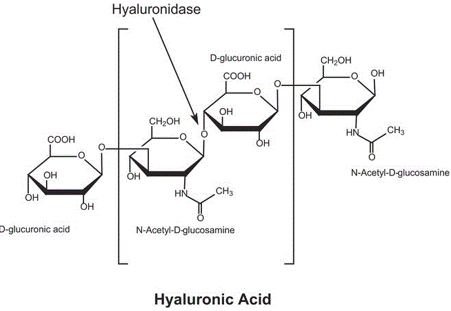 structure of CAS# 37326-33-3, Hyaluronidase (cow testis isoenzyme);Hyaluronidase (bovine) ;Hyaluronoglucosaminidase; Chondroitinase; Hyaluronoglucosidase; Hydase; Neopermease