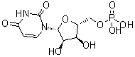 5'-尿苷酸分子结构 (CAS 58-97-9)