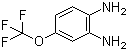 4-(Trifluoromethoxy)benzene-1,2-diamine molecular structure (CAS 658-89-9)