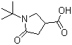 1-叔丁基-5-氧代吡咯烷-3-甲酸分子结构 (CAS 66366-87-8)