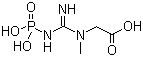 磷酸肌酸分子结构 (CAS 67-07-2)